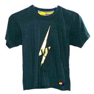 Aviator Nation XS Womens Grey Lightning Bolt Cropped Tee Short Sleeve